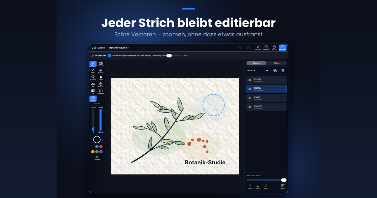 Die Zeichenfläche von BladeDraw auf dem iPad mit Pinselleiste, Ebenenliste und einer botanischen Studie